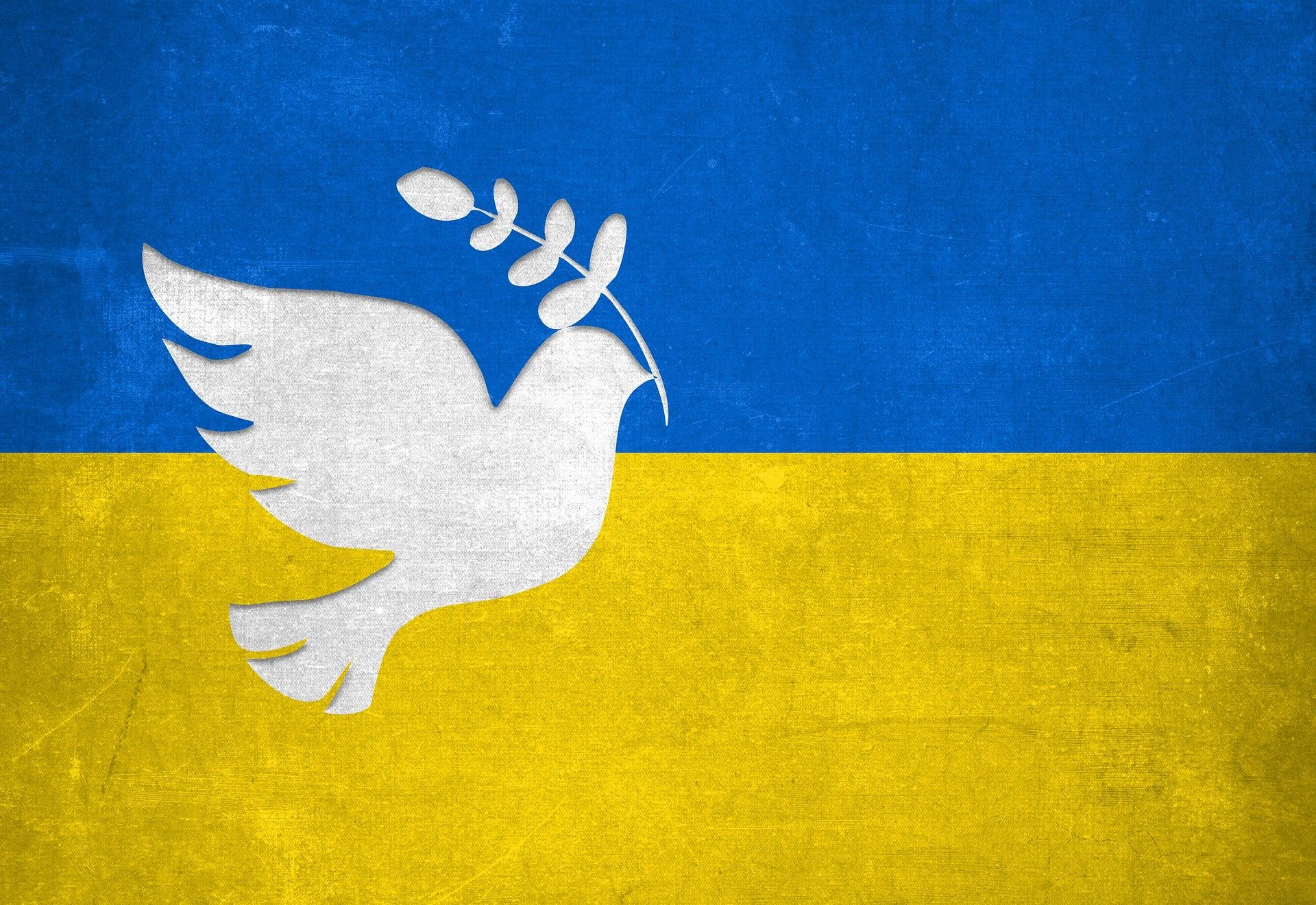 Fahne Ukraine Friedenstaube
